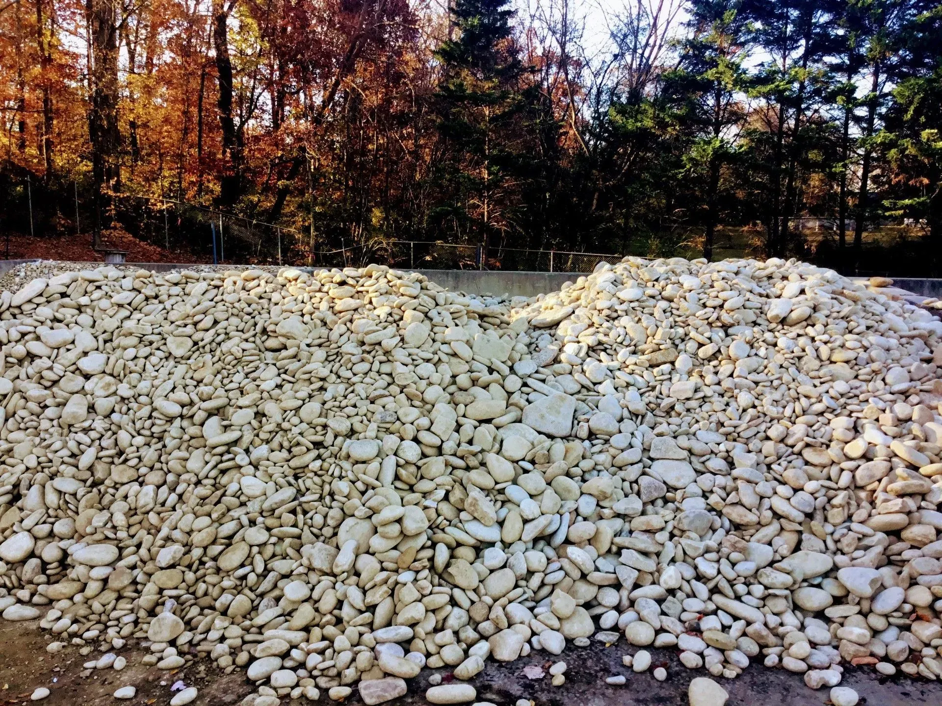 Pile of light-colored rocks in a yard with autumn trees in the background