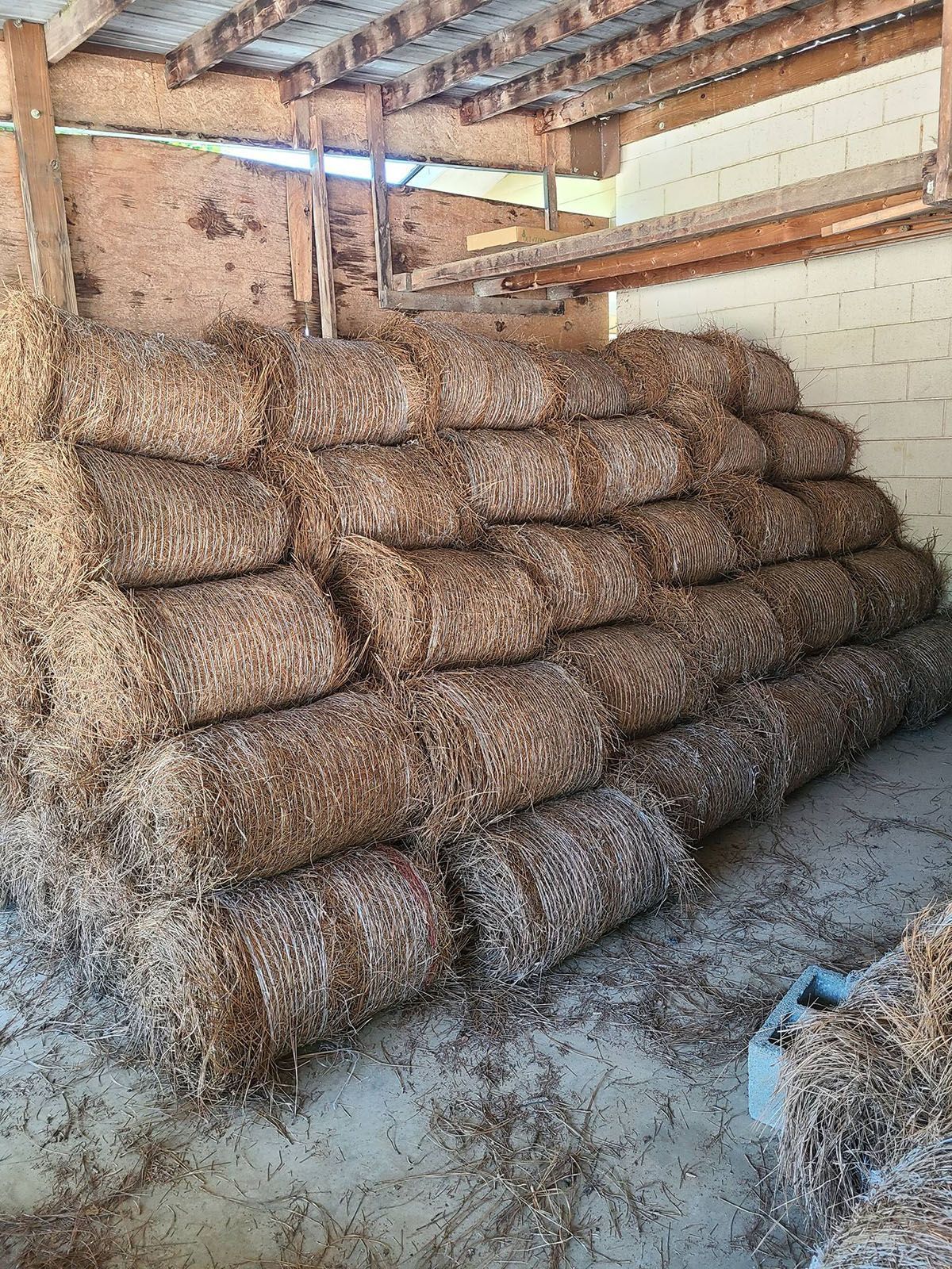 Stacked hay bales inside a rustic shed with a straw-covered floor.