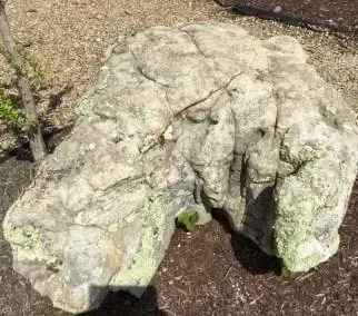Large pale rock with a small arch opening, set in a garden bed with mulch and gravel.