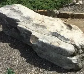 Large weathered boulder on mulch in a landscaped outdoor area.