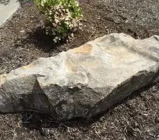 Large light-gray boulder on dry mulch, with a small plant behind it.
