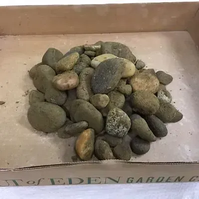 A pile of smooth gray and tan pebbles in a shallow box labeled “Garden of Eden.”