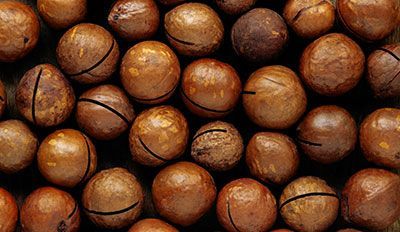 Macadamia Mounding