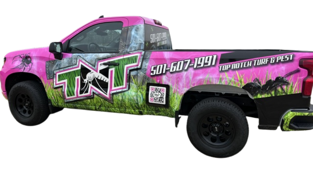 Customized pickup truck with colorful TNT graffiti-style wrap and oversized tires, rear view on white background