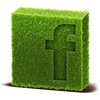 Facebook Icon