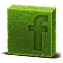 Facebook Icon