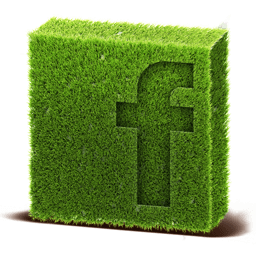 Facebook Icon