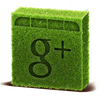 Google Plus Icon