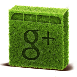 Google Plus Icon