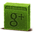 Google Plus Icon