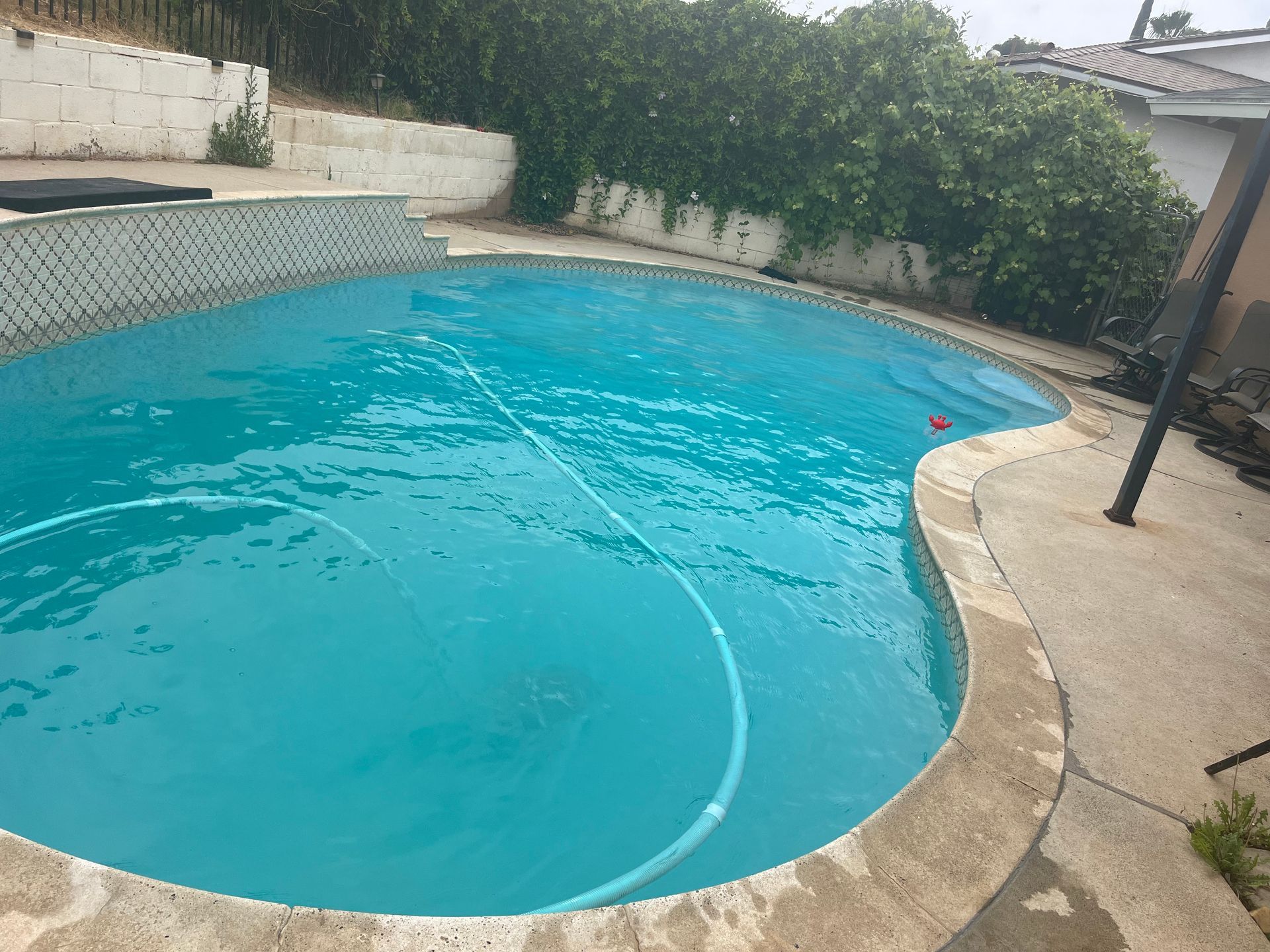 A turquoise swimming pool with a cleaning hose, surrounded by concrete and greenery.