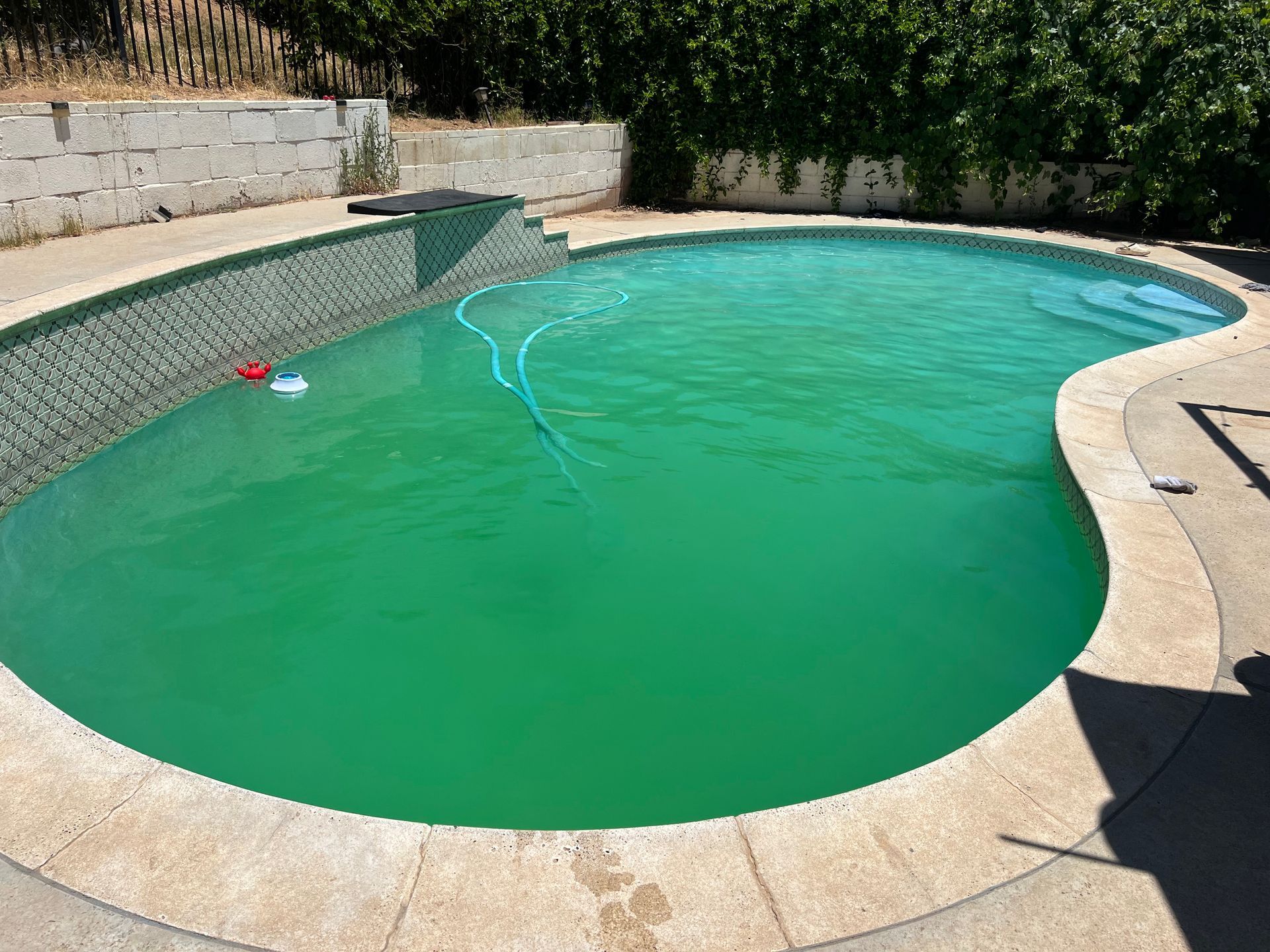 Green algae-filled swimming pool with diving board and pool cleaner in a backyard setting.