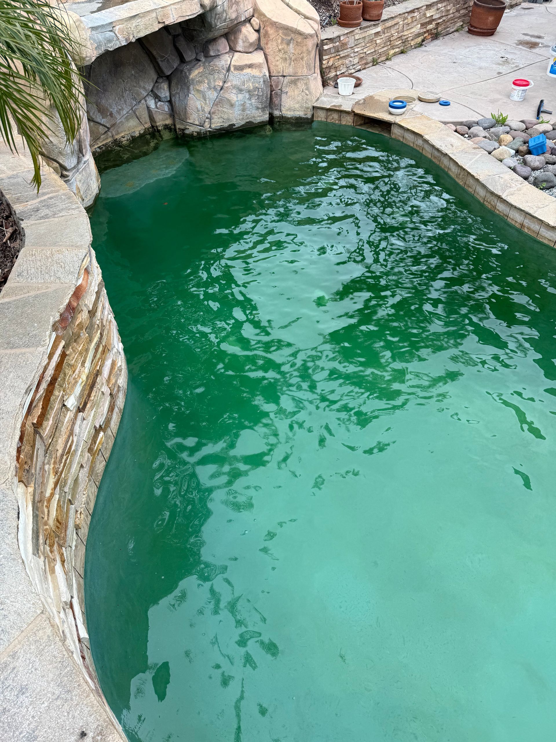 Green algae-filled pool with stone edging.