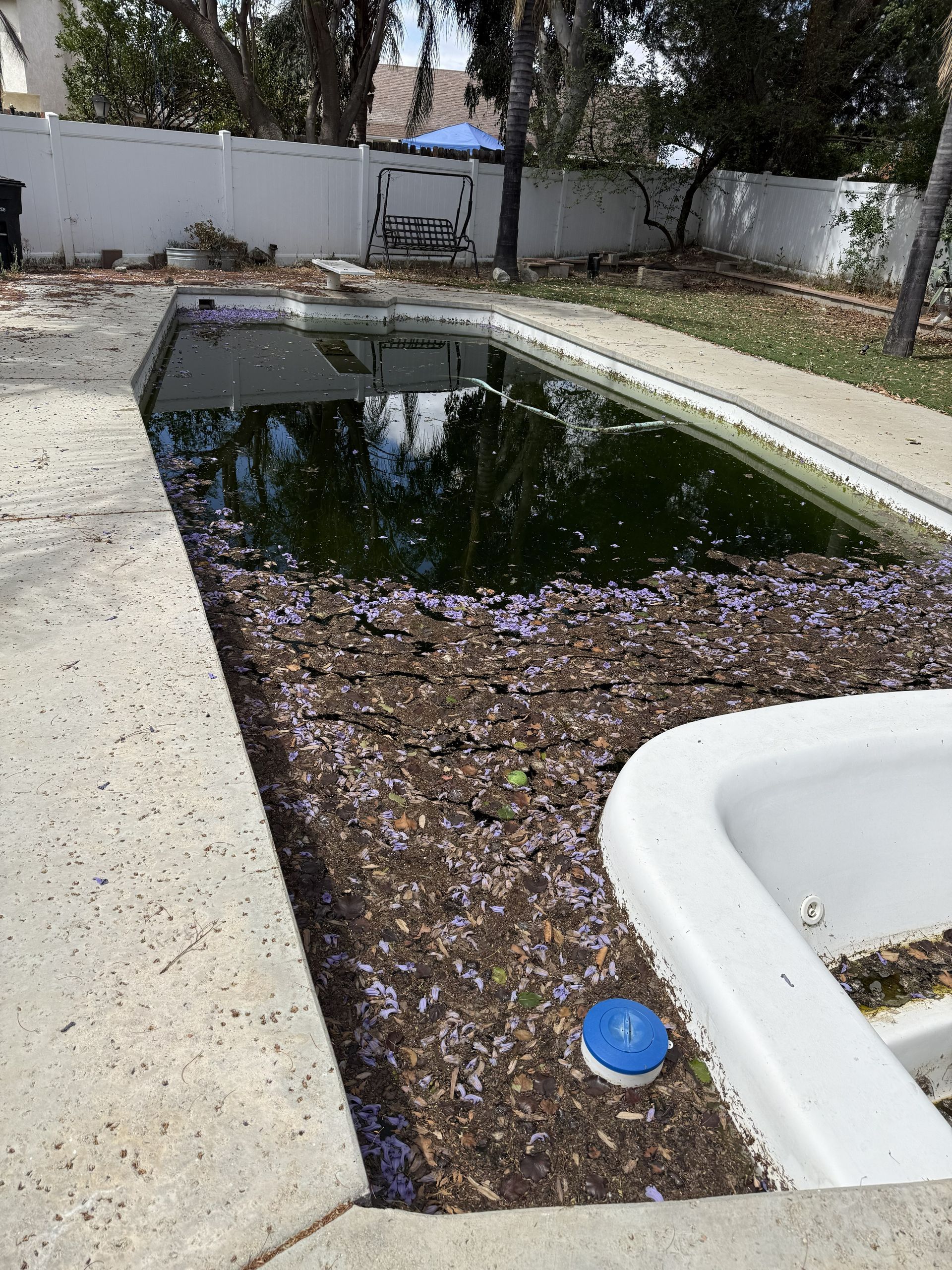 Empty backyard pool with dark water and debris, bordered by a white patio and wall in the shade