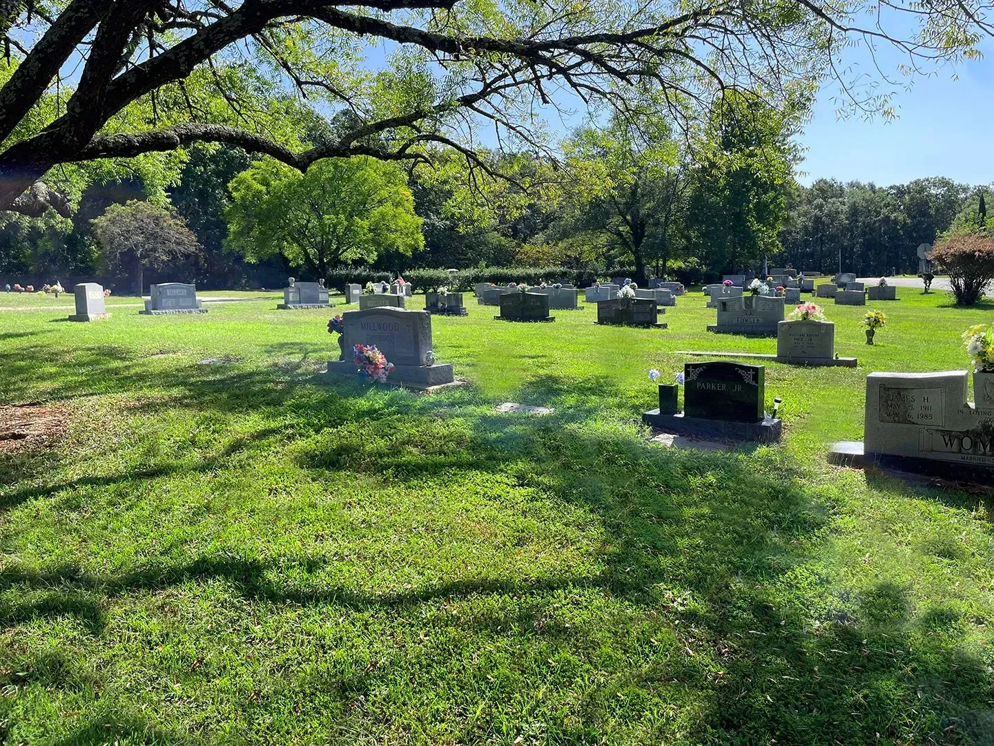 Gravestones in a sunny cemetery under a large tree with green grass and long shadows