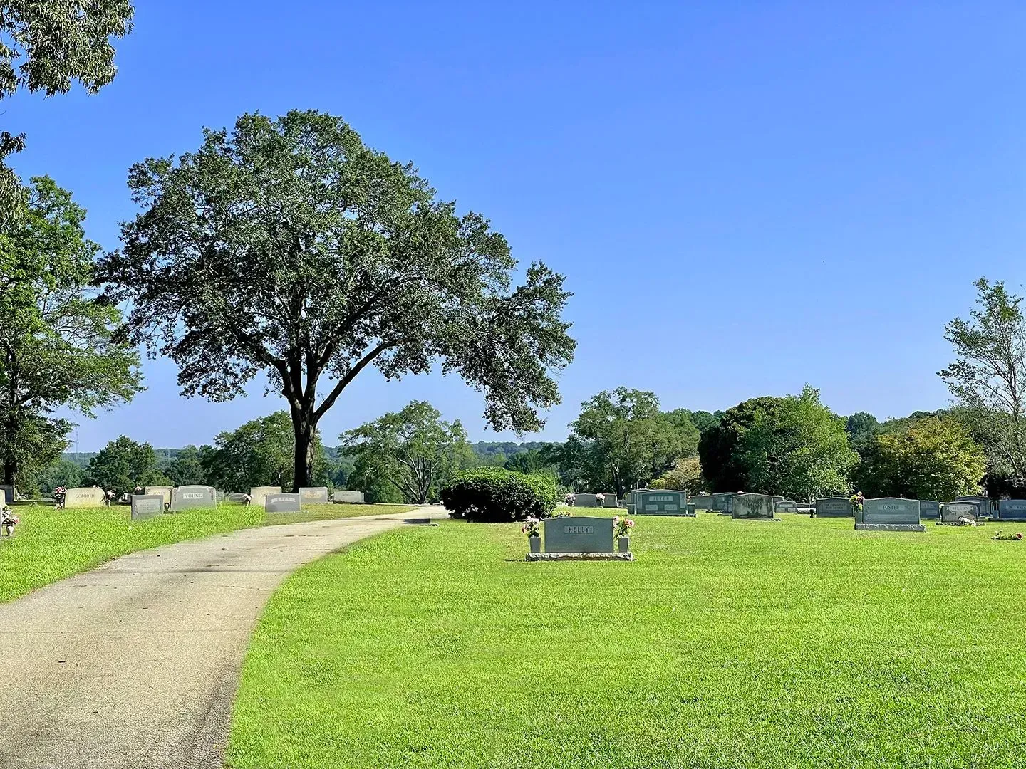 Sunny cemetery with green grass, curved path, tombstones, and a large tree under a blue sky