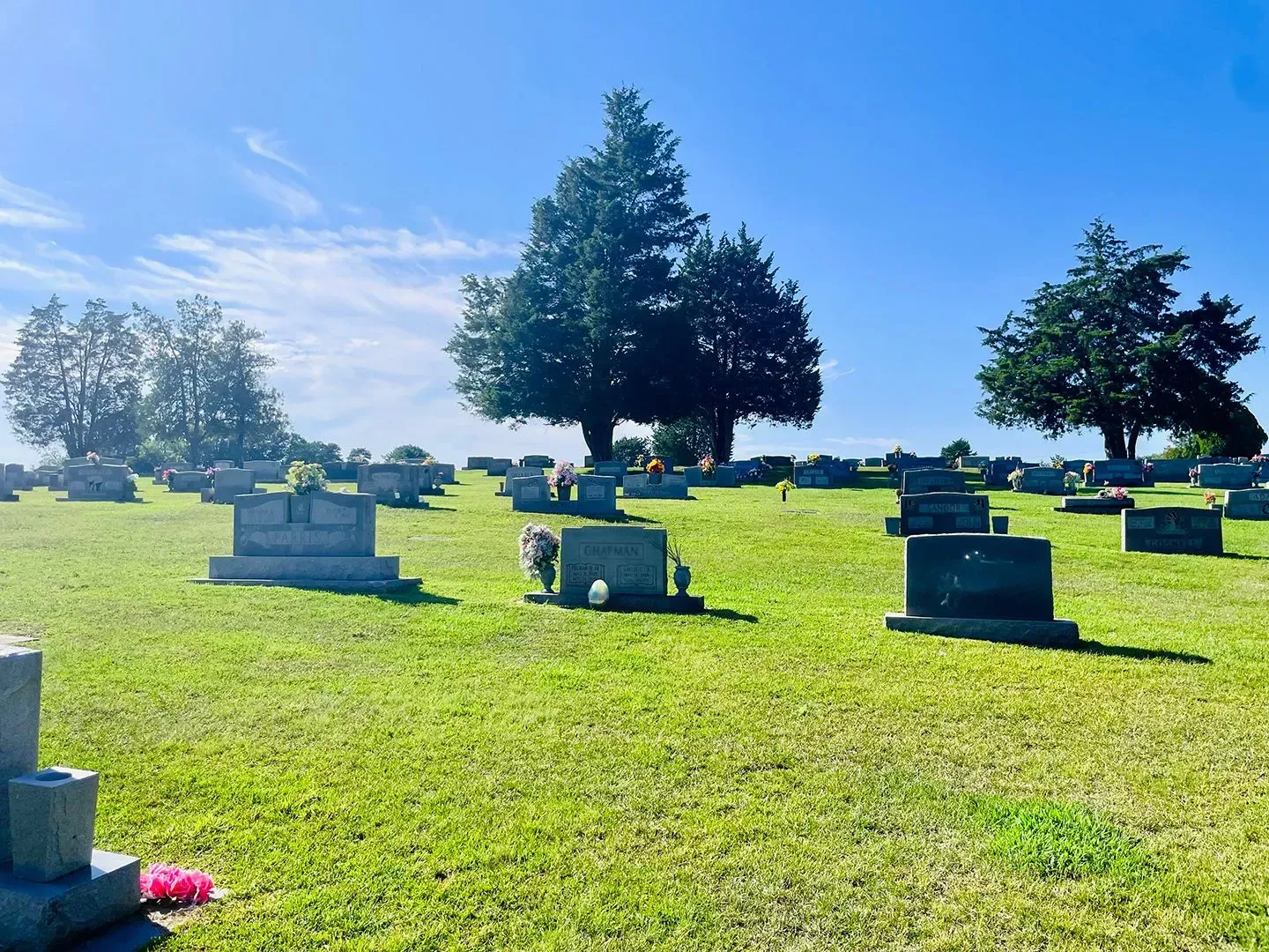 Sunlit cemetery with rows of gravestones and large trees under a clear blue sky