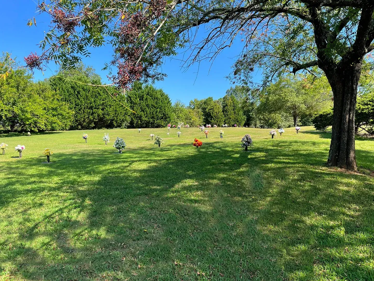 Sunny cemetery lawn with scattered headstones under blue sky and trees