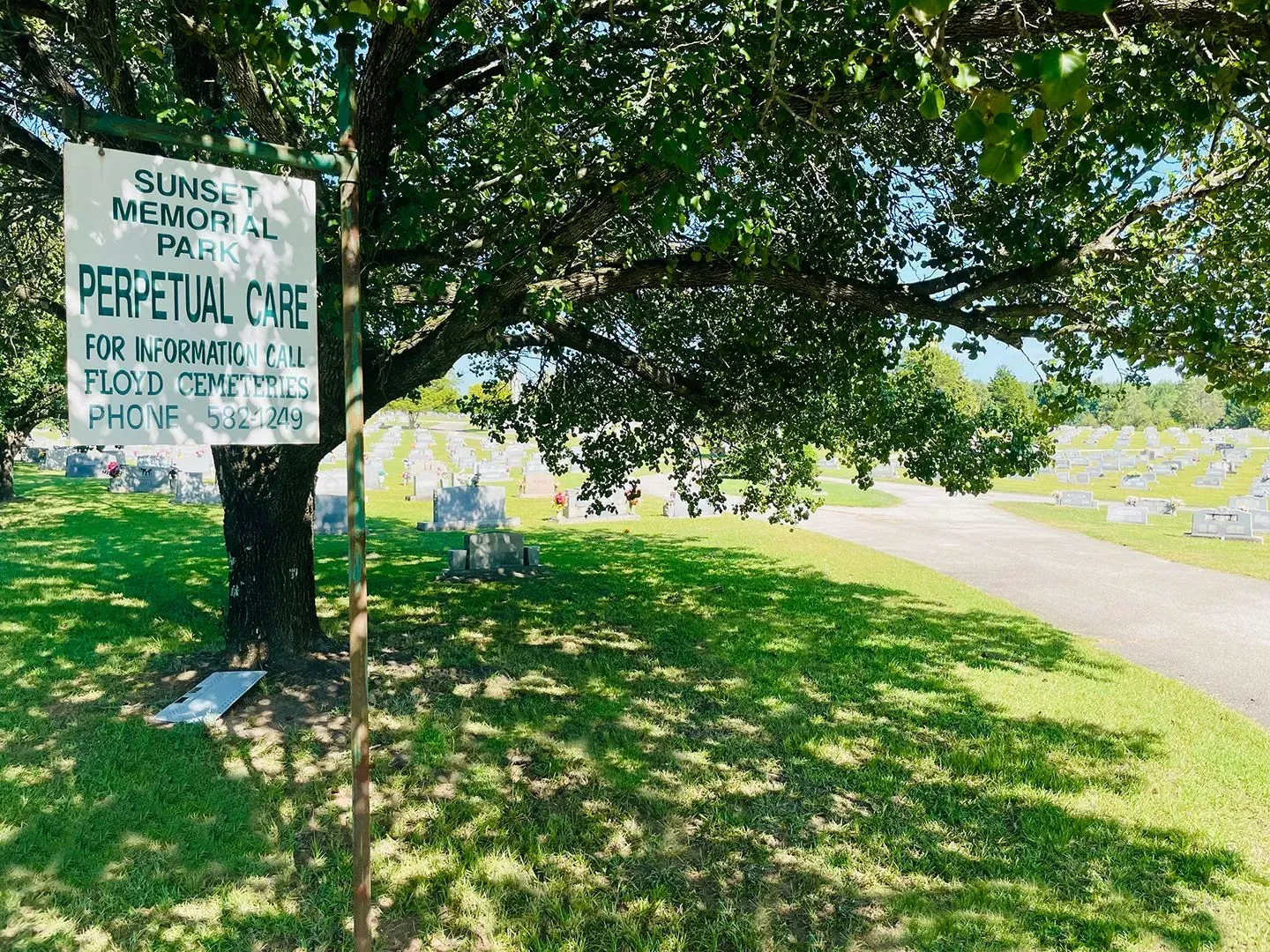 Small memorial sign under trees beside a road, casting shade over a grassy roadside area.