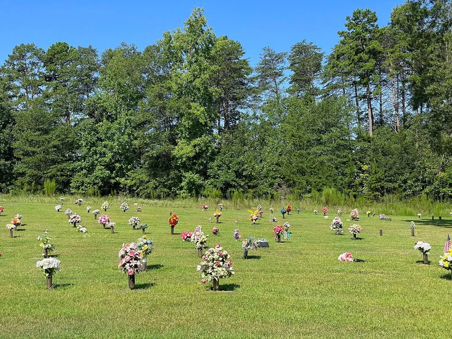 Grassy field with rows of small flower bouquets and toy birds, backed by trees under a blue sky