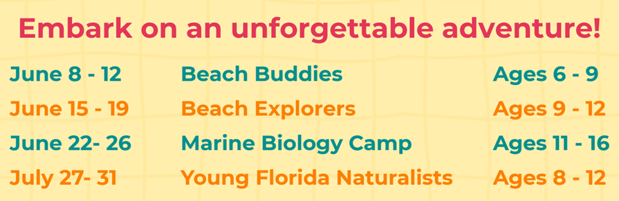 Summer Camp 2026