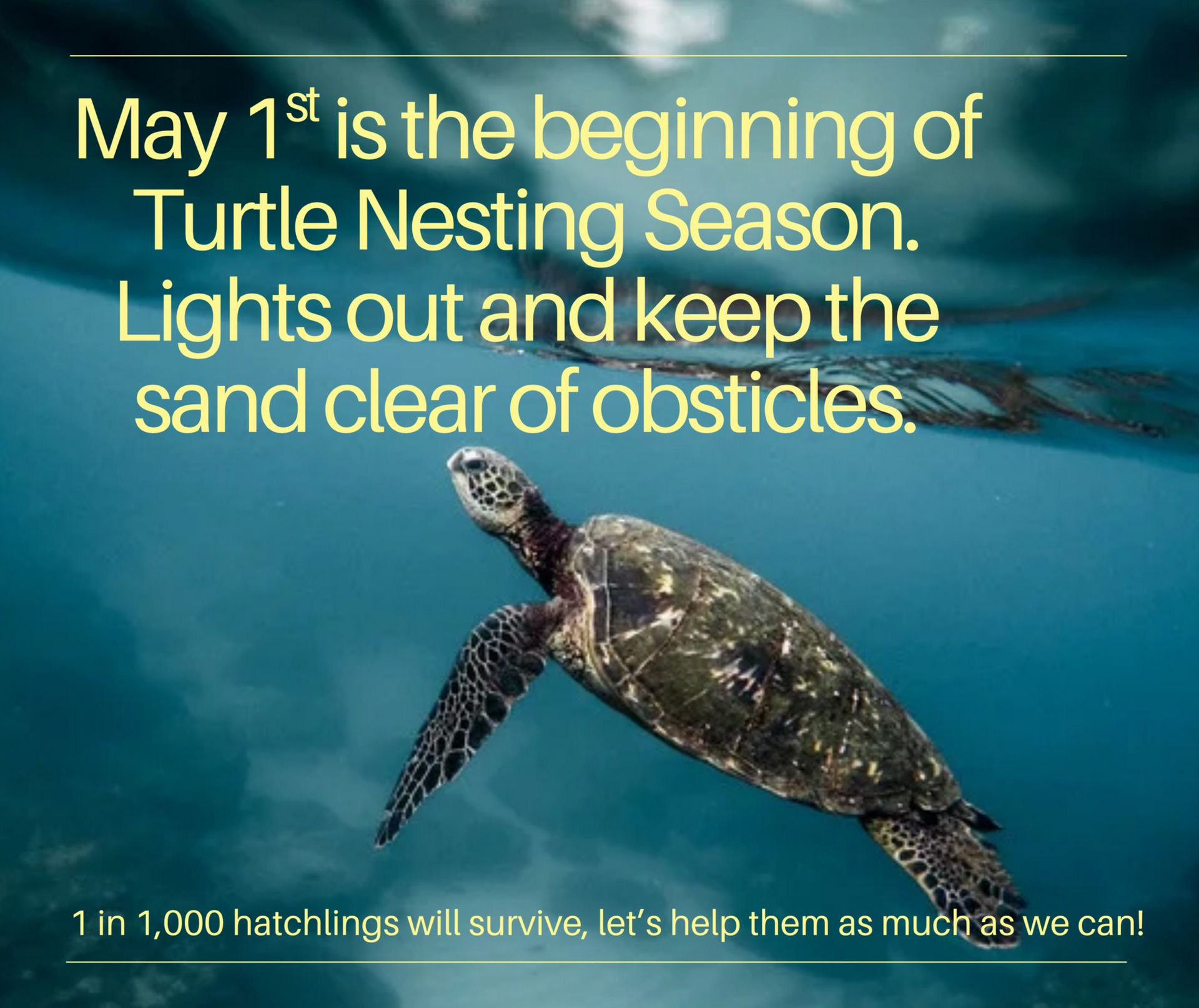 Lovers Key Turtle Season sand renourishment