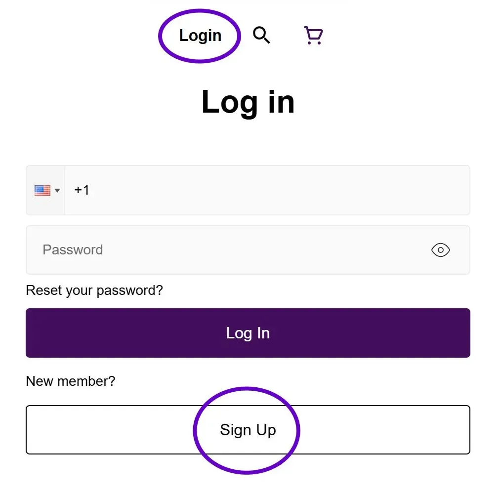 quality high website log in image