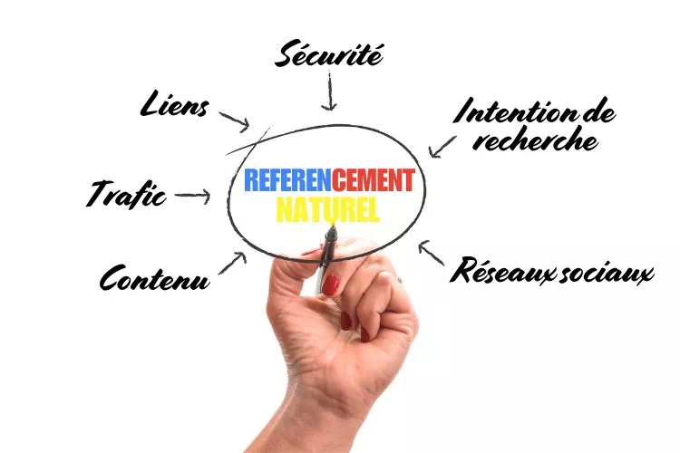 Référencement naturel