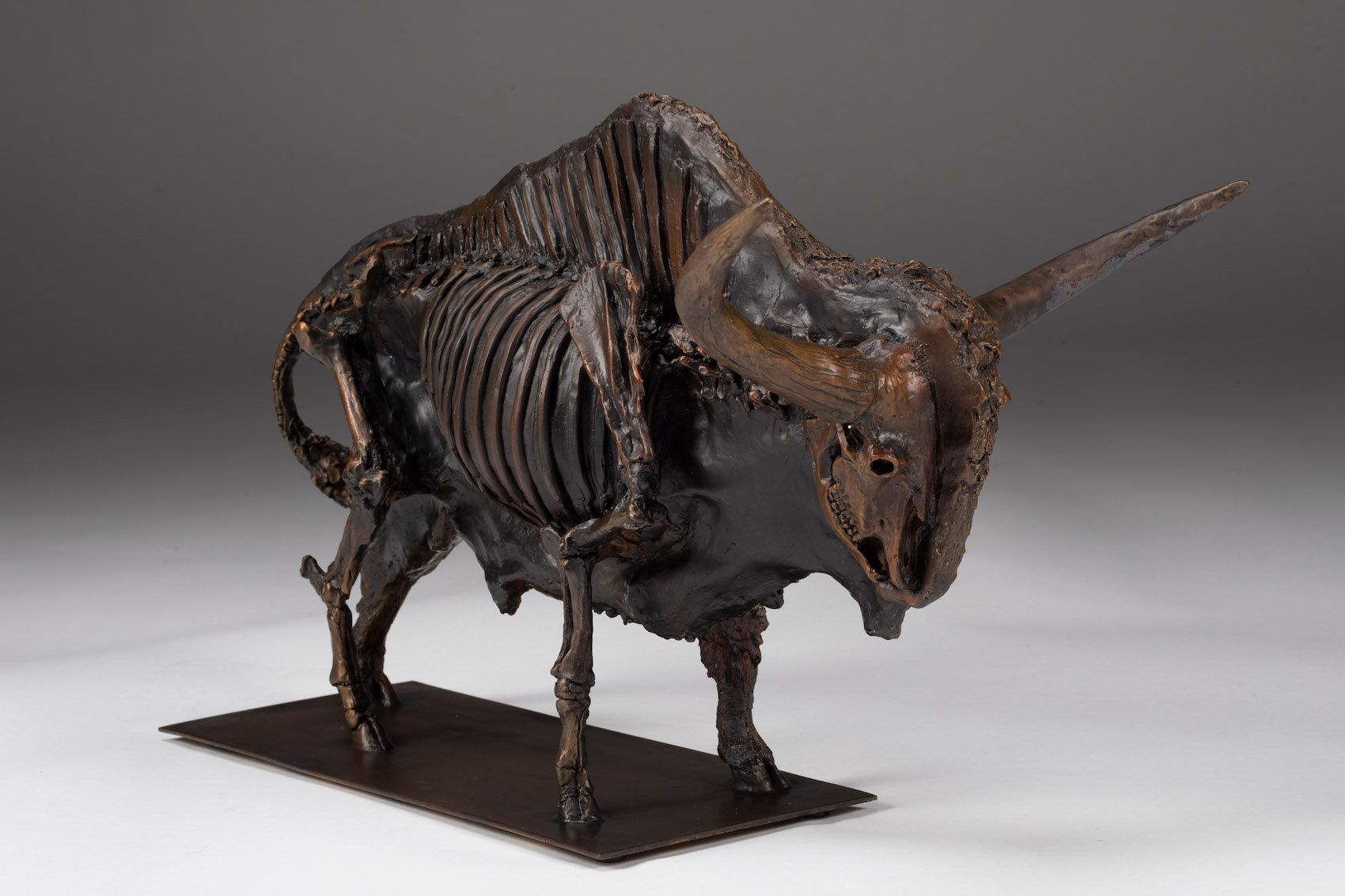 Bison Latifrons Skeletal Bas Relief