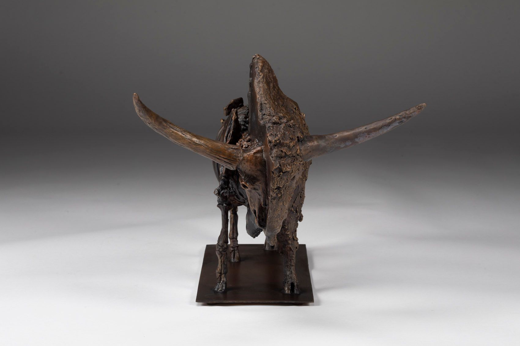 Bison Latifrons Skeletal Bas Relief