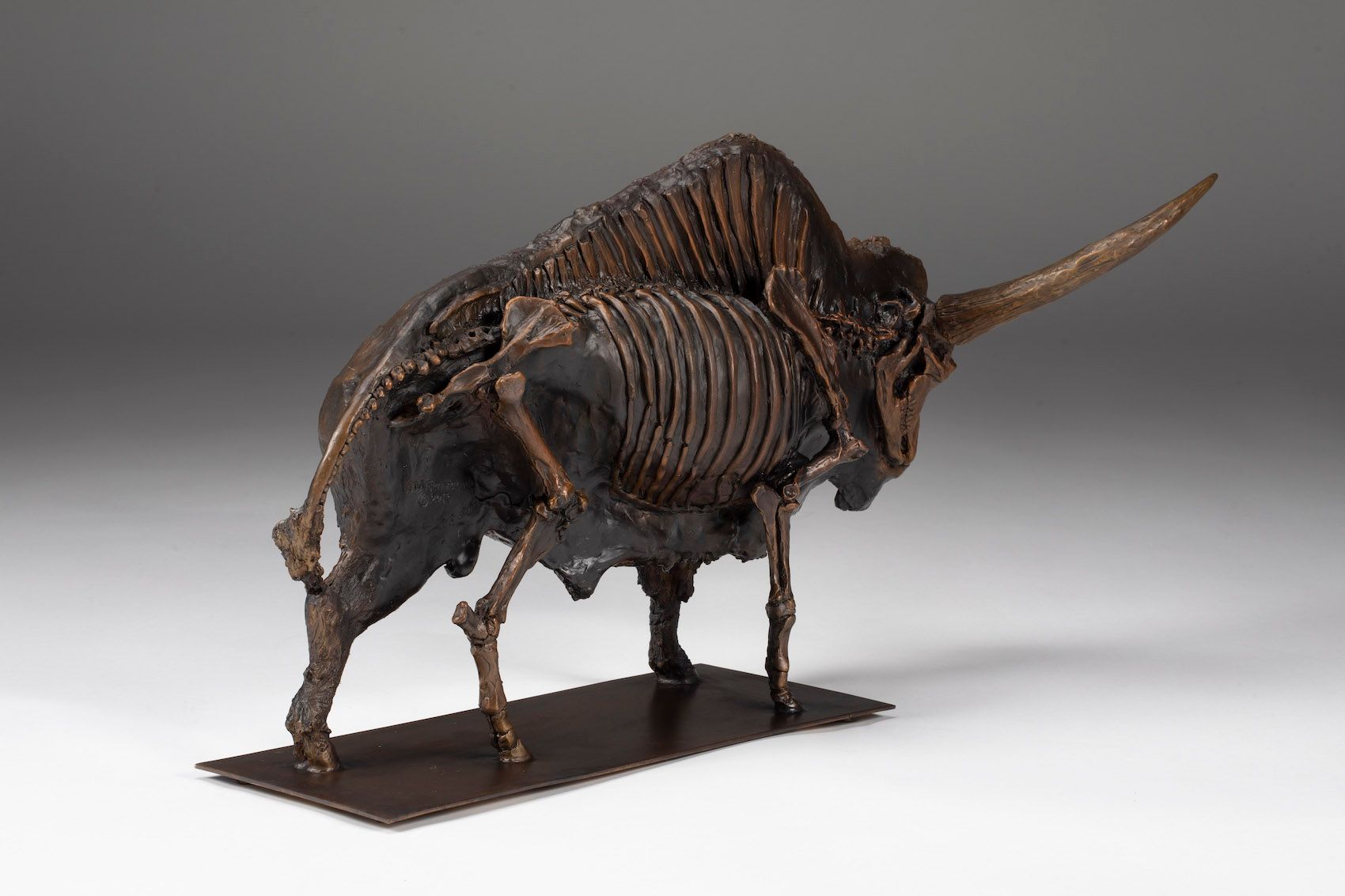 Bison Latifrons Skeletal Bas Relief