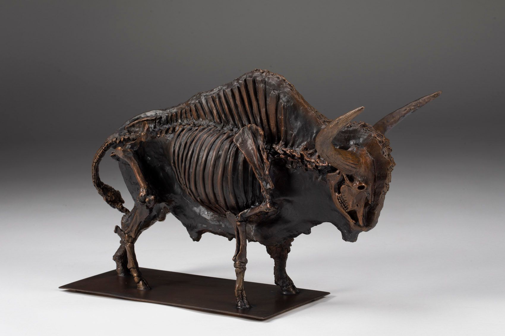 Bison Latifrons Skeletal Bas Relief