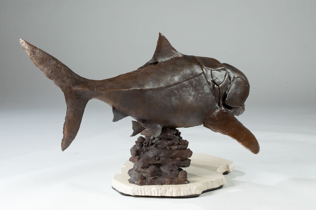 Dunkleosteus rear side