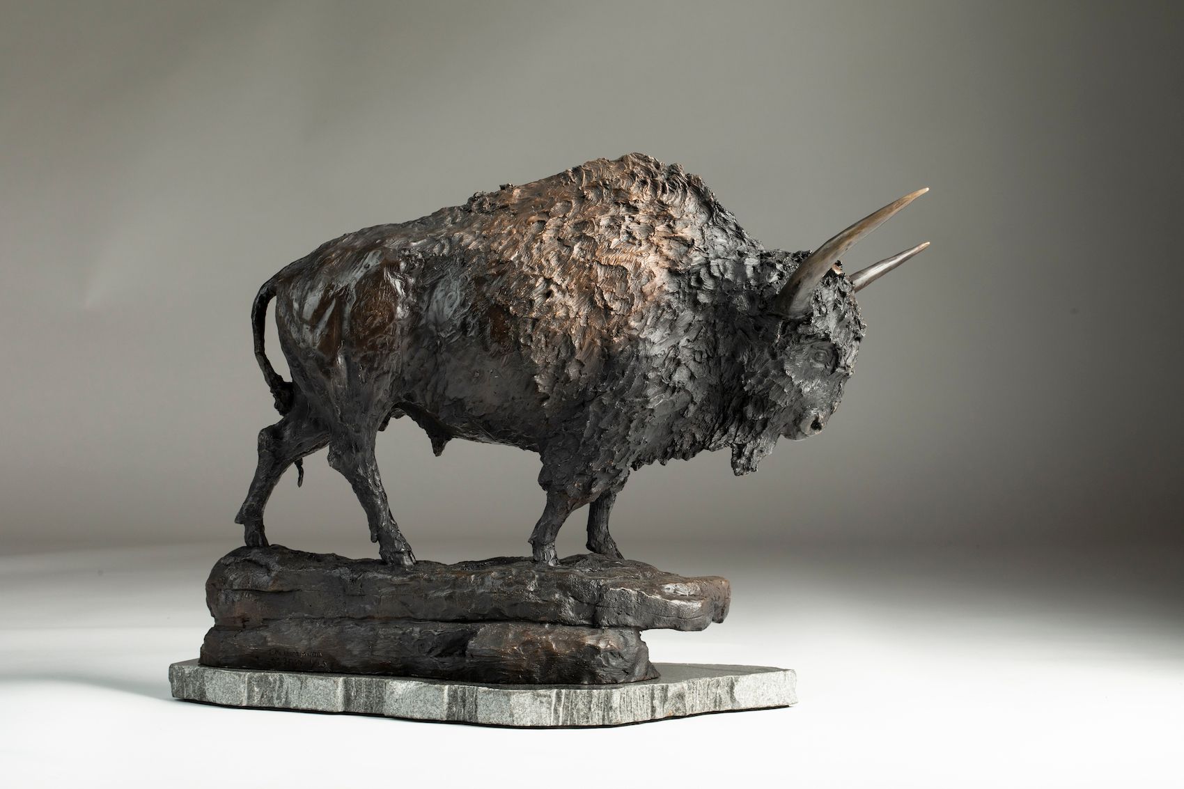 bison latifrons sculpture 360