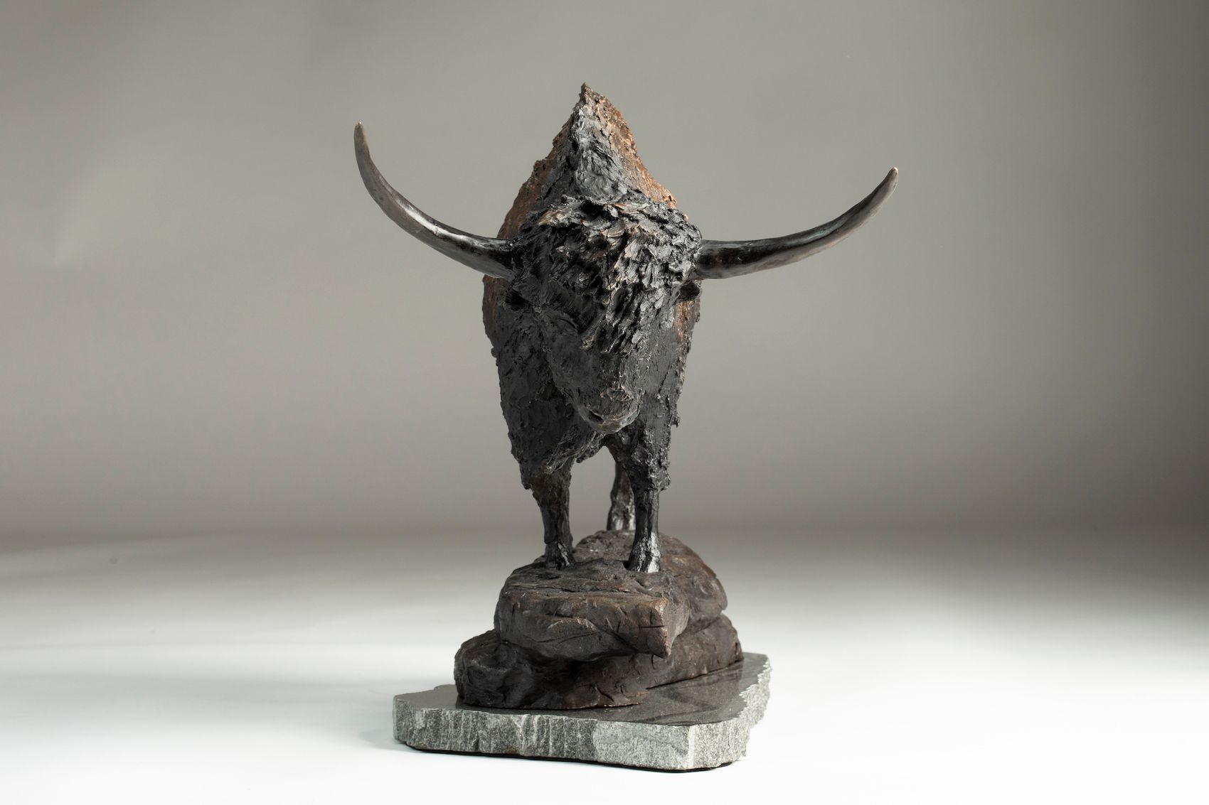 bison latifrons sculpture 360