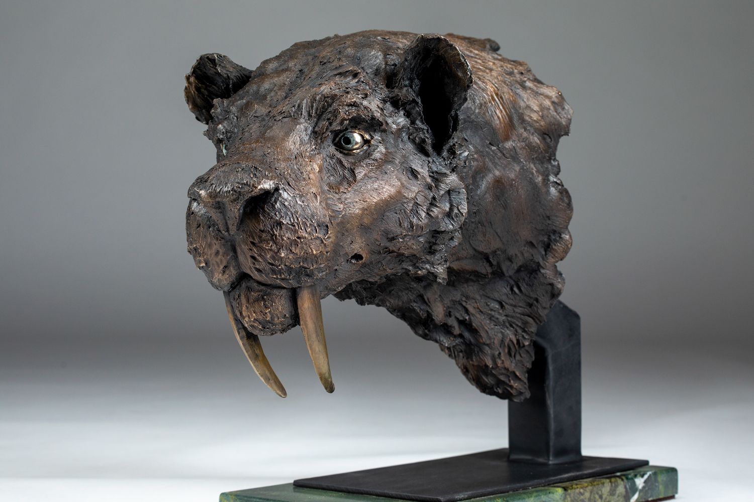Smilodon fatalis sabertooth tiger sculpture
