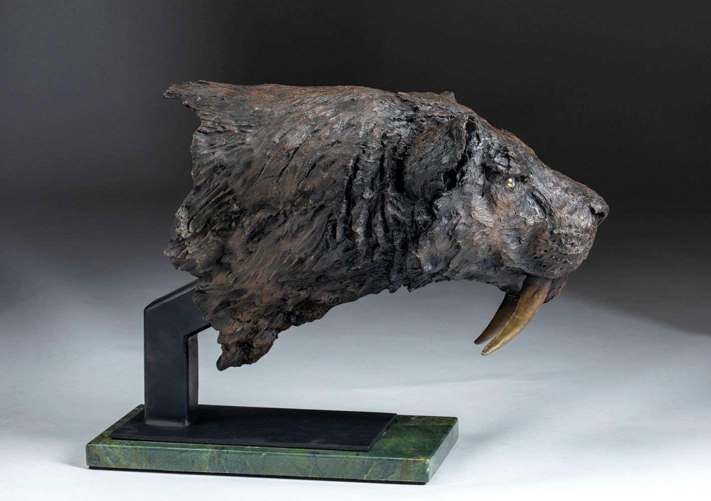 Smilodon fatalis sabertooth tiger sculpture