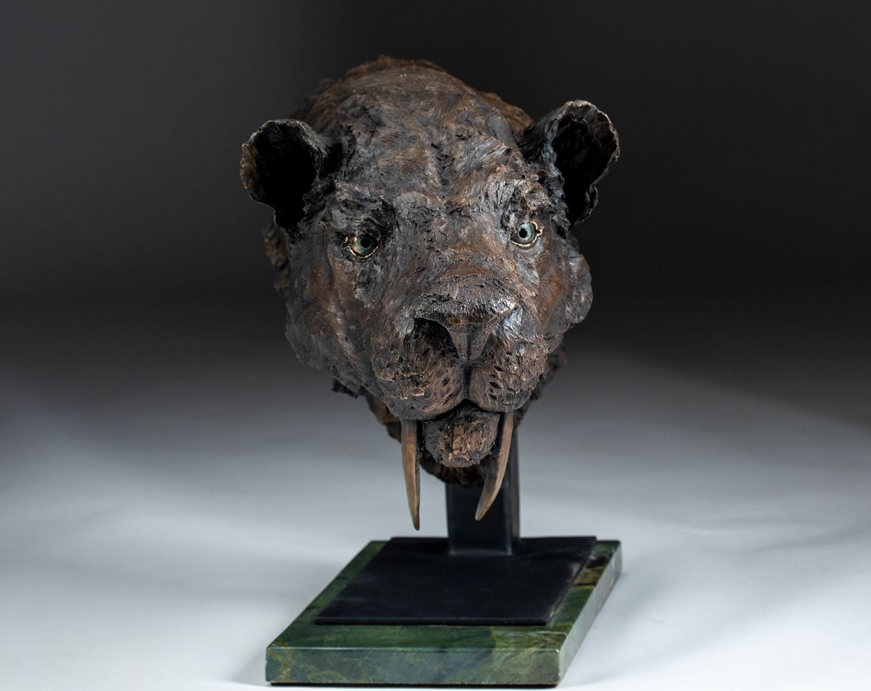 Smilodon fatalis sabertooth tiger sculpture