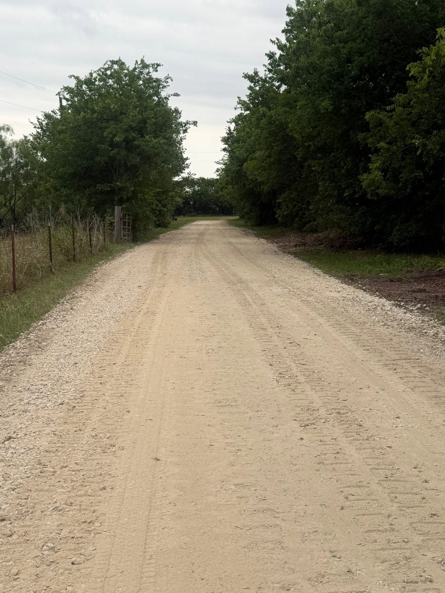 Gravel road lined with trees and brush under an overcast sky