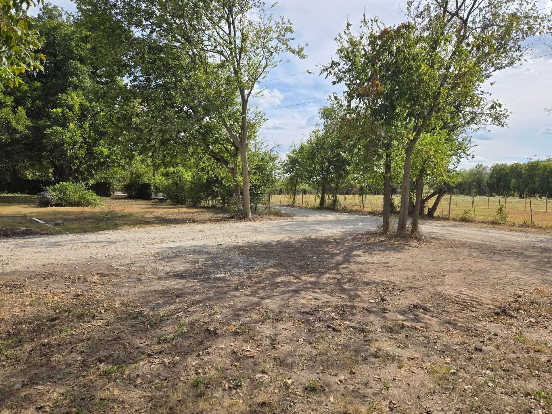 Sparse trees in a dry, open field with a gravel path under a partly cloudy sky