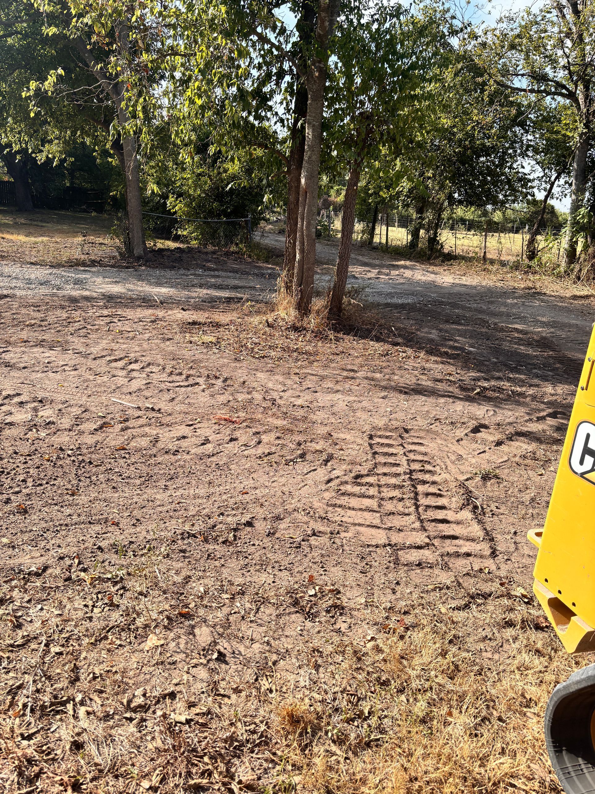 Wooded clearing with a tree in the center and a yellow machine edge at right.