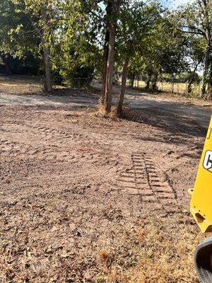 Dry wooded area with trees and bare ground, beside part of a yellow vehicle on the right.