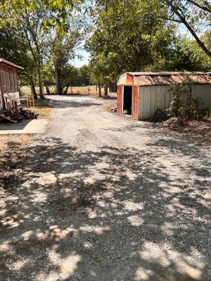 Gravel path between small weathered sheds under trees, with dappled sunlight and dry ground.