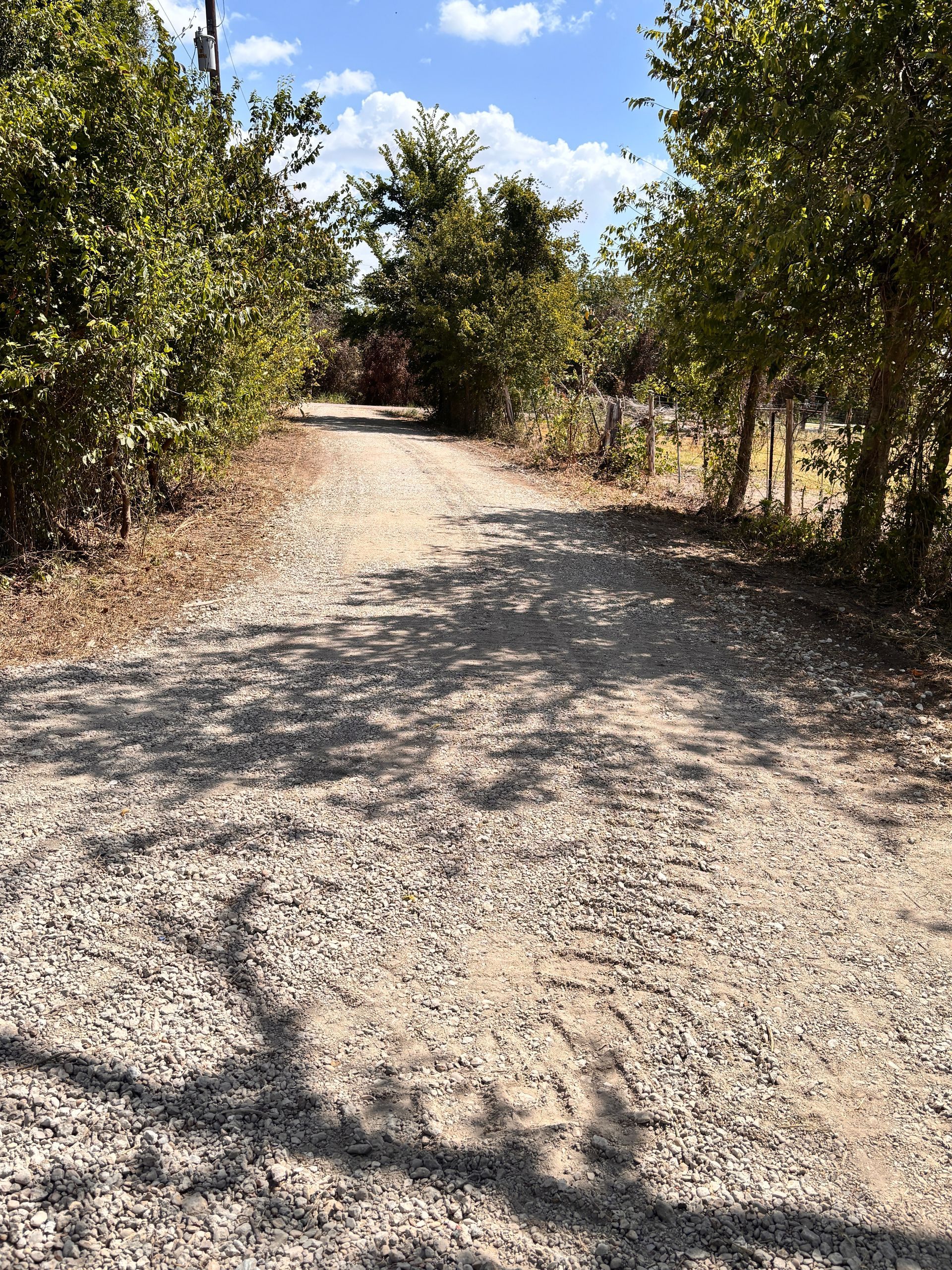 Gravel path lined with trees and bushes under a sunny blue sky