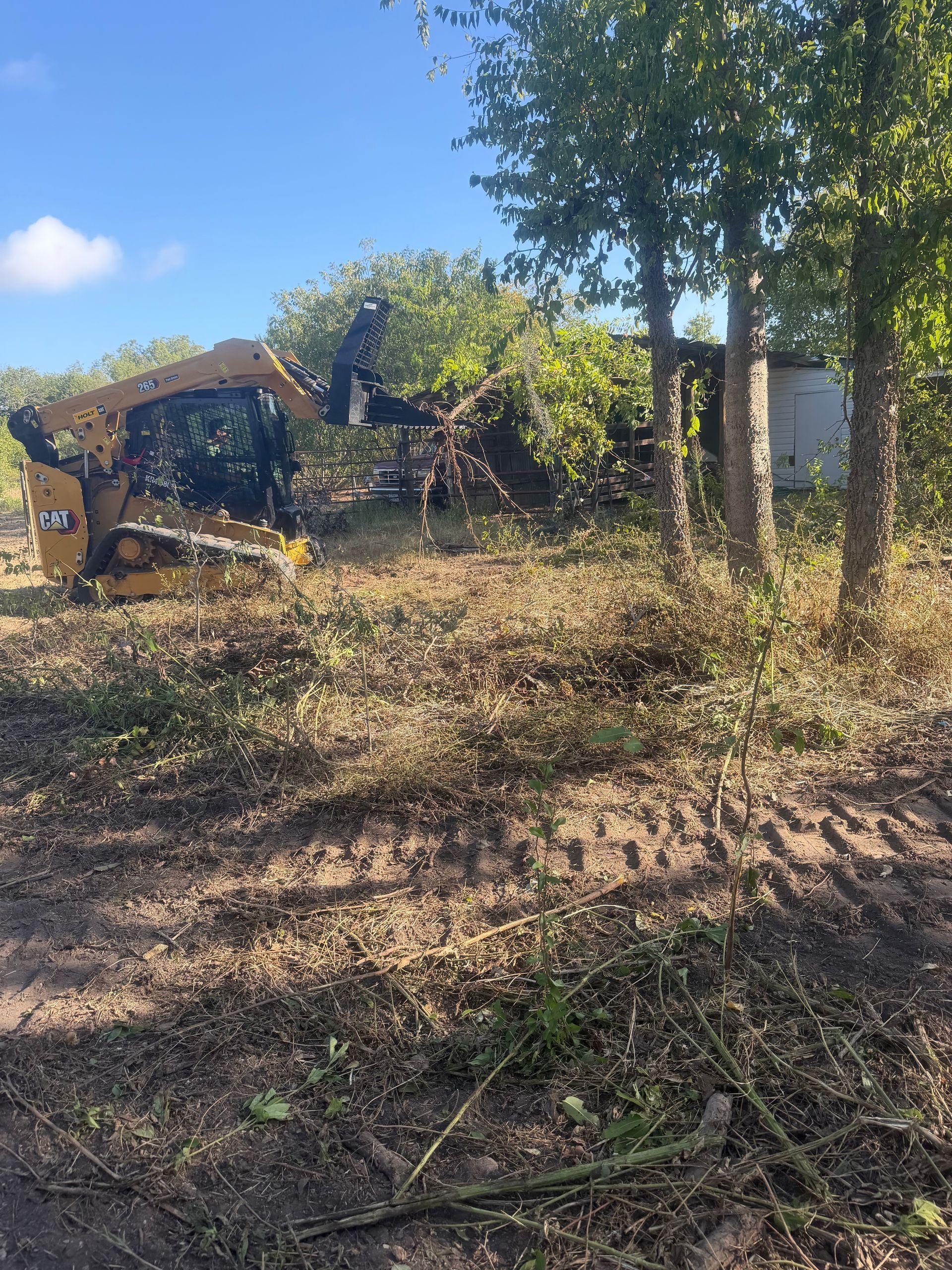 Yellow excavator clearing brush beside a tree and small structure on a sunny, dry lot