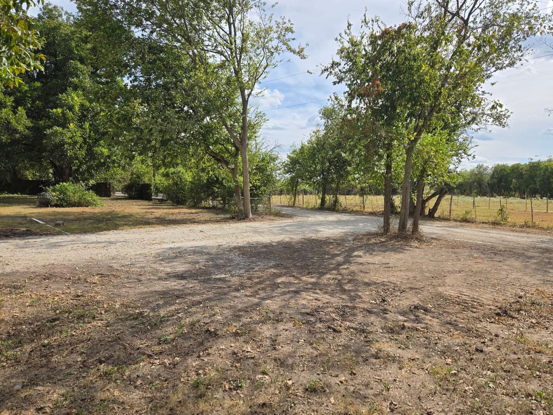 Sparse trees in a dry, open park with dirt ground and a few grassy areas under a partly cloudy sky