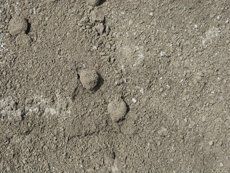Quarry Sand — Victor Harbor, SA — South Coast Sand & Civil