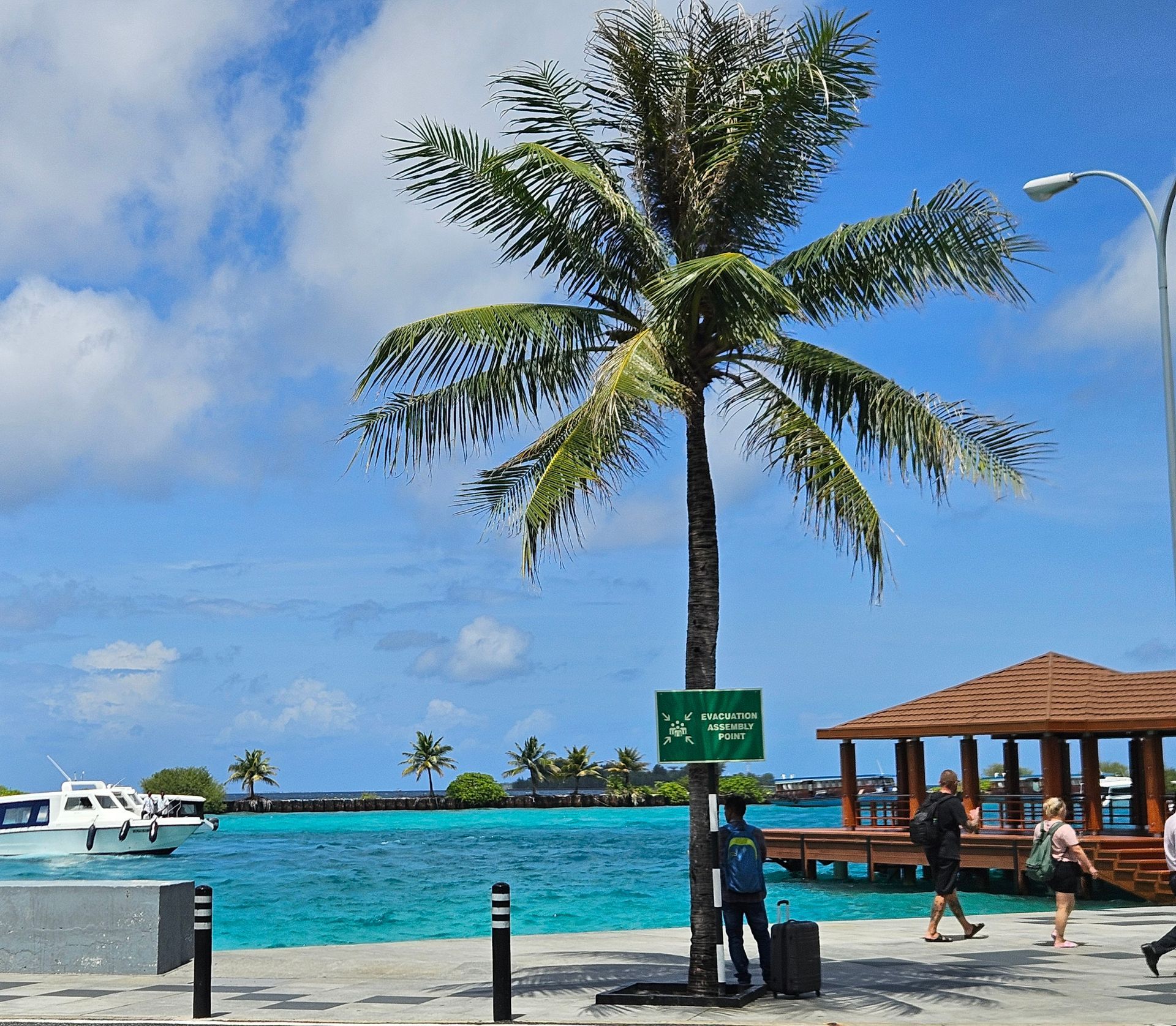 Palm tree on a pier, turquoise water, boats, people walking, blue sky with clouds.