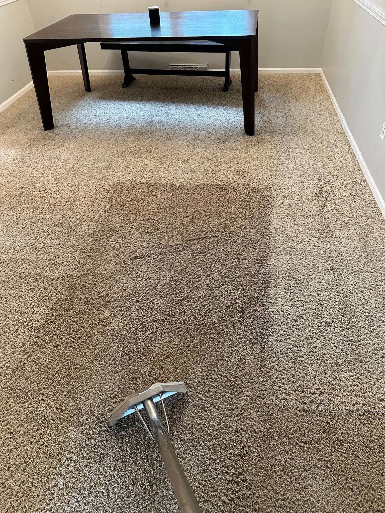 Carpet cleaning in progress in an empty room, with a vacuum wand in the foreground.