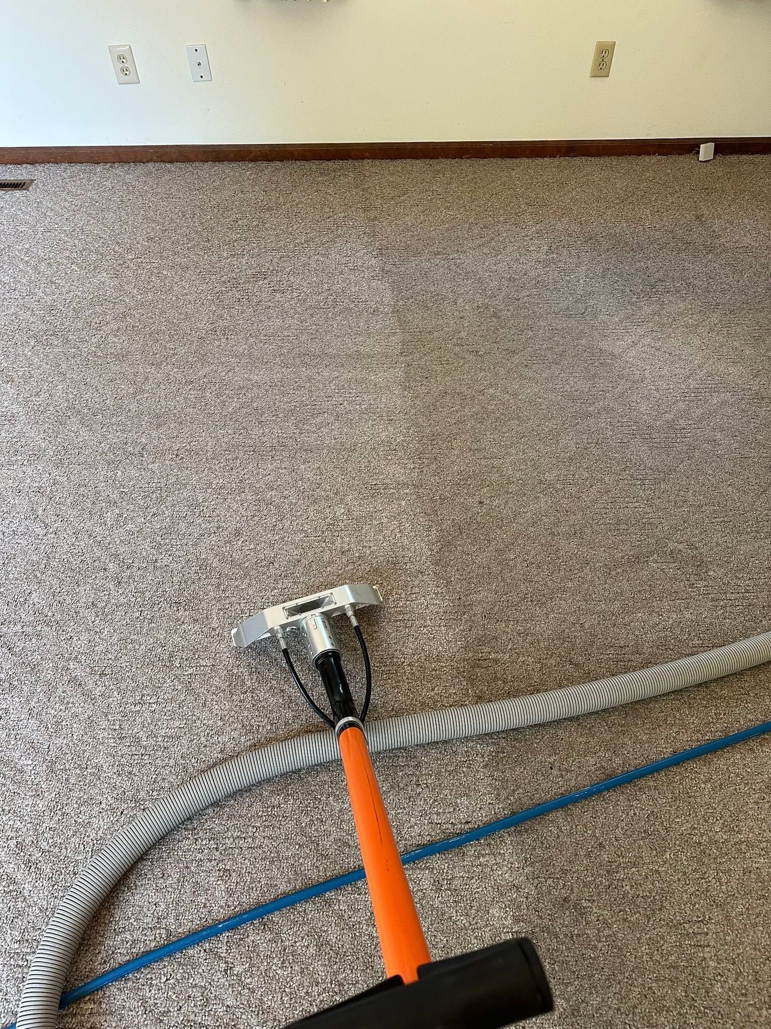 Carpeted room with a carpet cleaner wand and hose on the floor near a wall outlet.